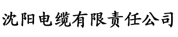 老司机软件电缆厂logo